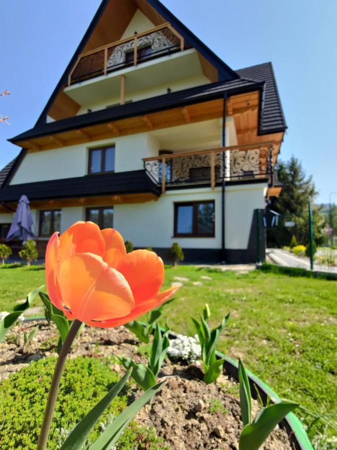 To Tu Apartment Czarna Gora Bagian luar foto